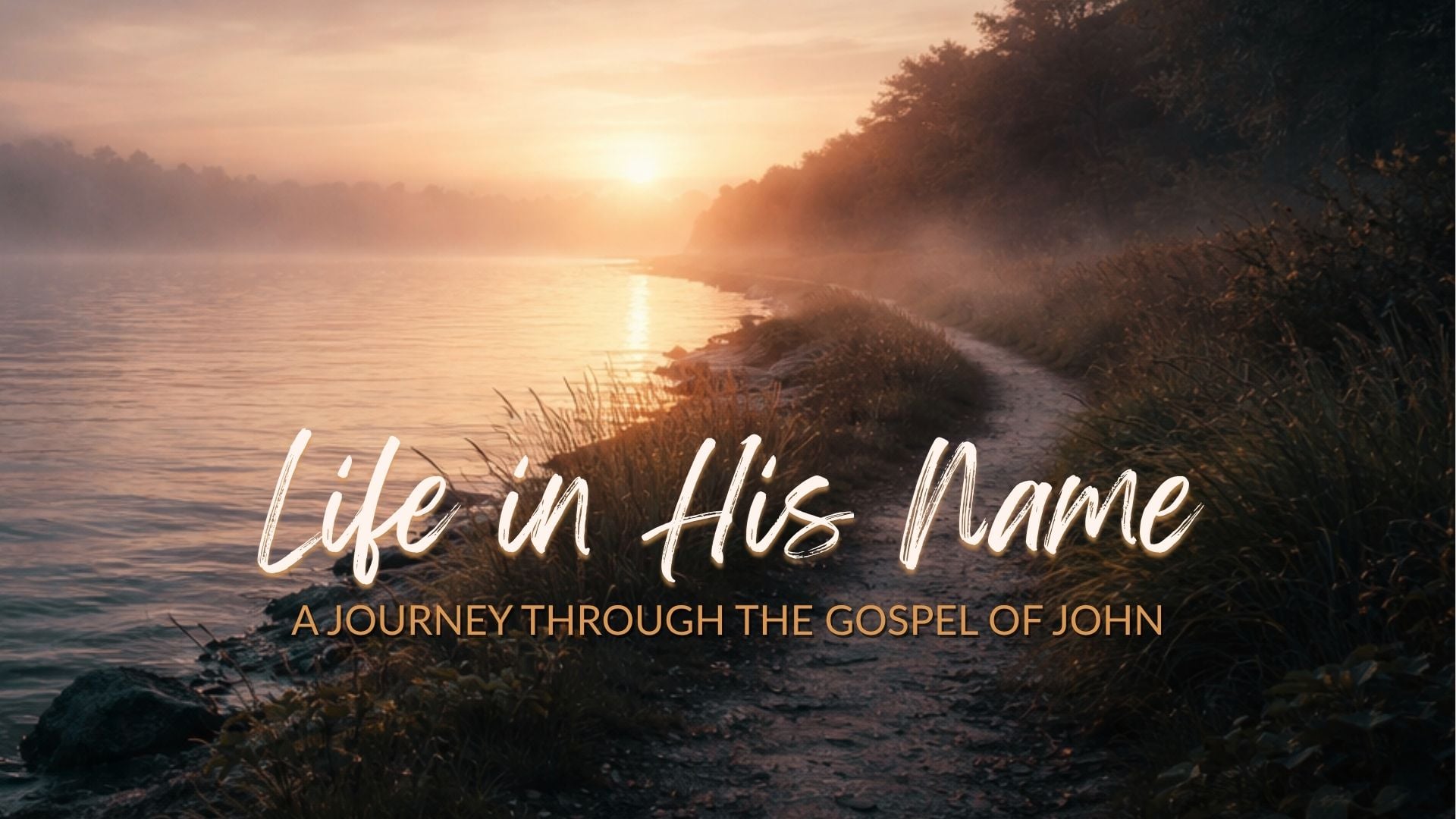 In Him Was Life